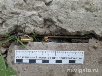 Стрельба в парке «Звезда»