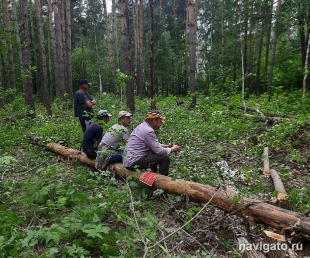 Стройку приостановили