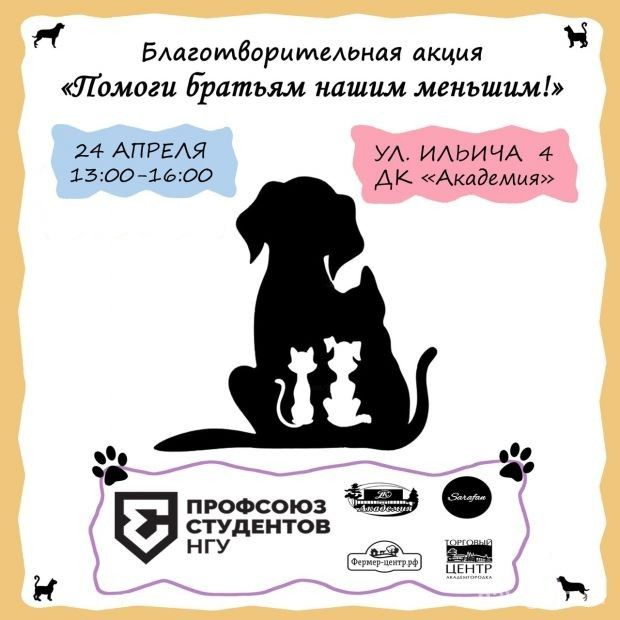 Студенты проводят зооакцию