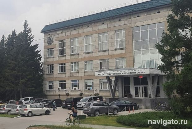 Связь с заболеваниями сердца