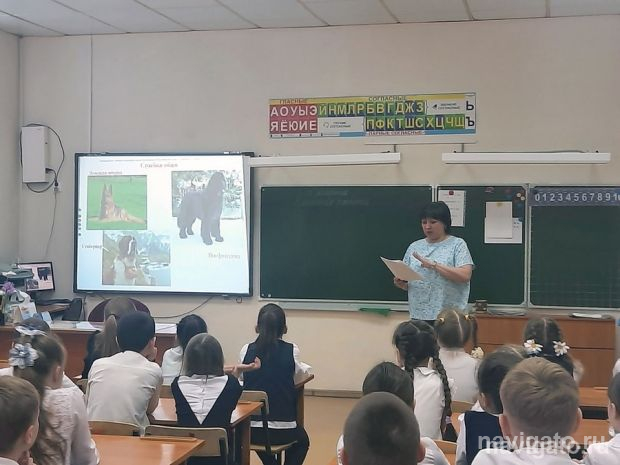 Только от жизни собачьей...