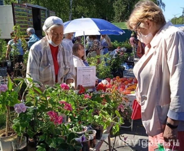 Торговые места для садоводов