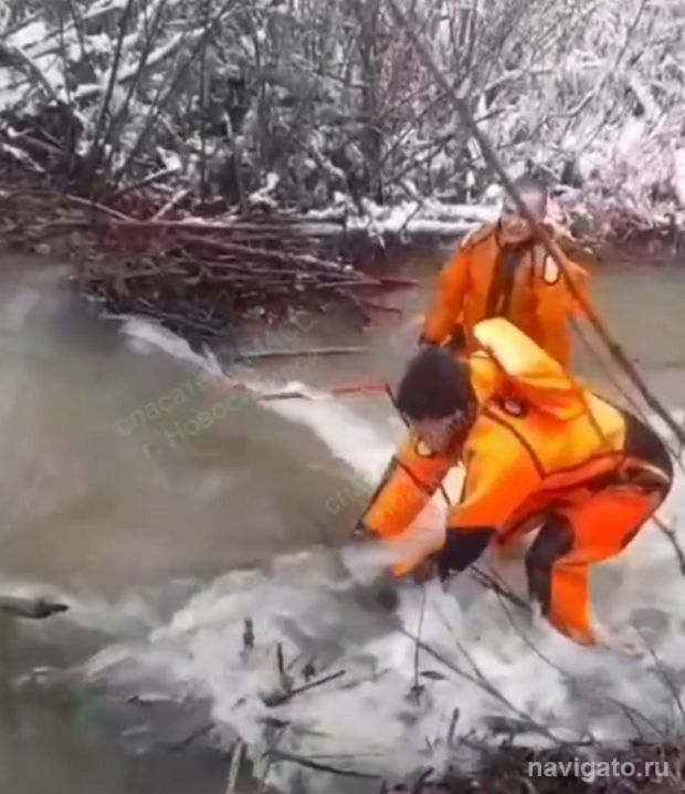 Убрали бобровую плотину