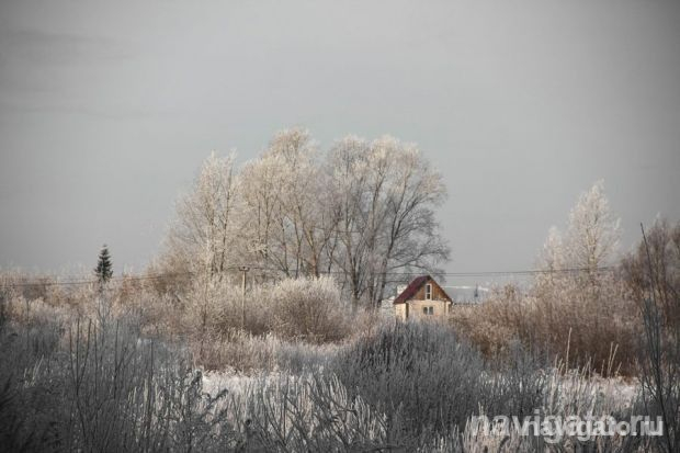 Участок земли или деньги