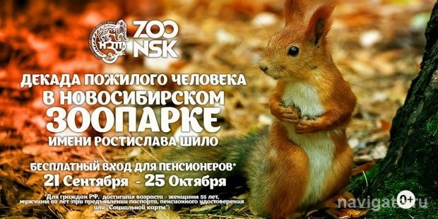 В гости к лисам и медведям