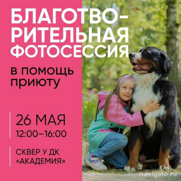 В пользу приюта для собак