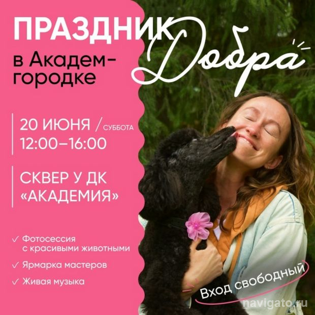 В помощь приюту для собак