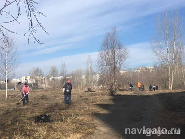 В районе стало чище