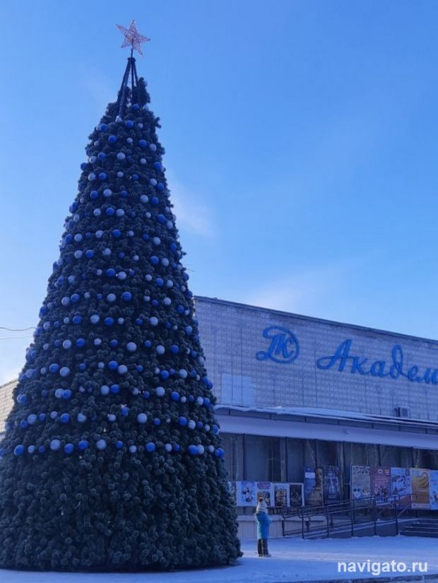 В Сибири снег и ёлки