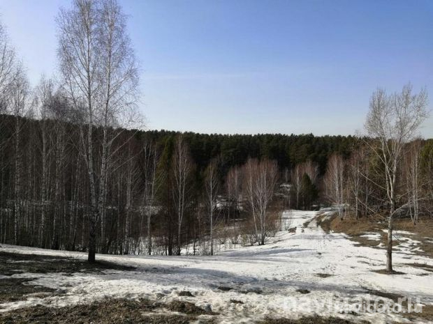 В зоне подтопления