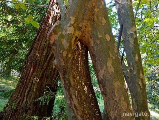 В зоопарке пополнение
