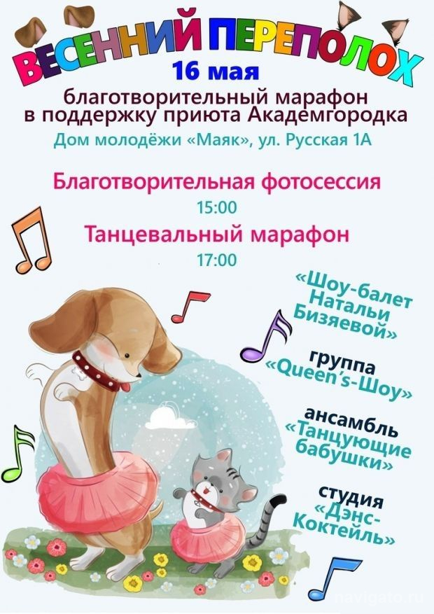 «Весенний переполох»