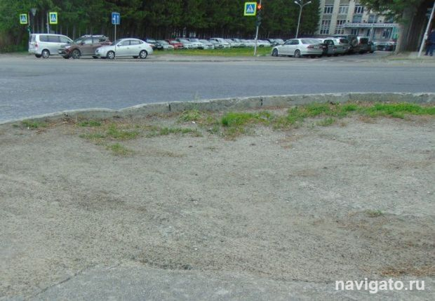 Восстанавливают газоны