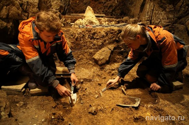 Все мы немного неандертальцы