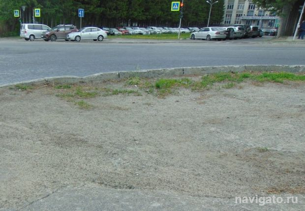 Зачем газоны брить налысо?