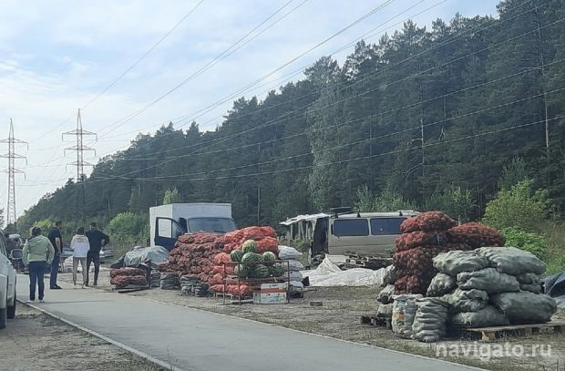 Запасы на зиму