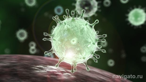 Заразный и не боится вакцины