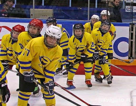 Здесь начинается хоккей