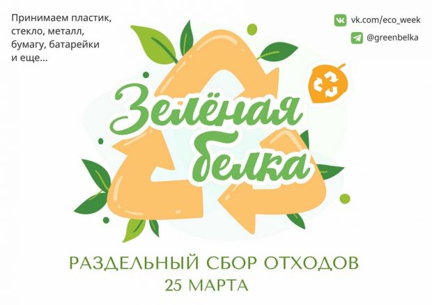 «Зелёная белка» приглашает