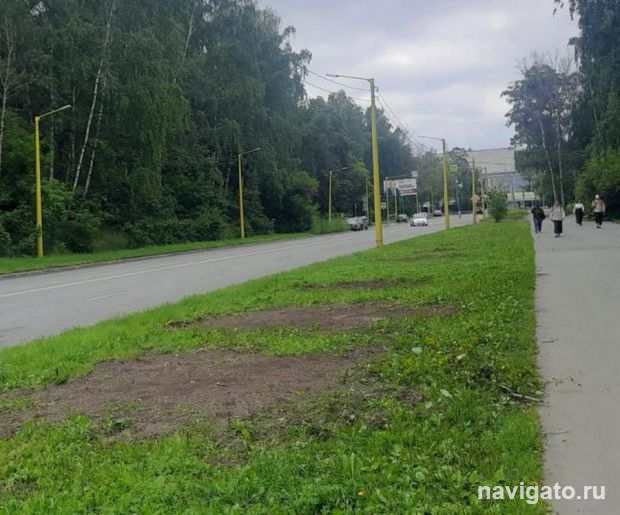 Зелени станет больше