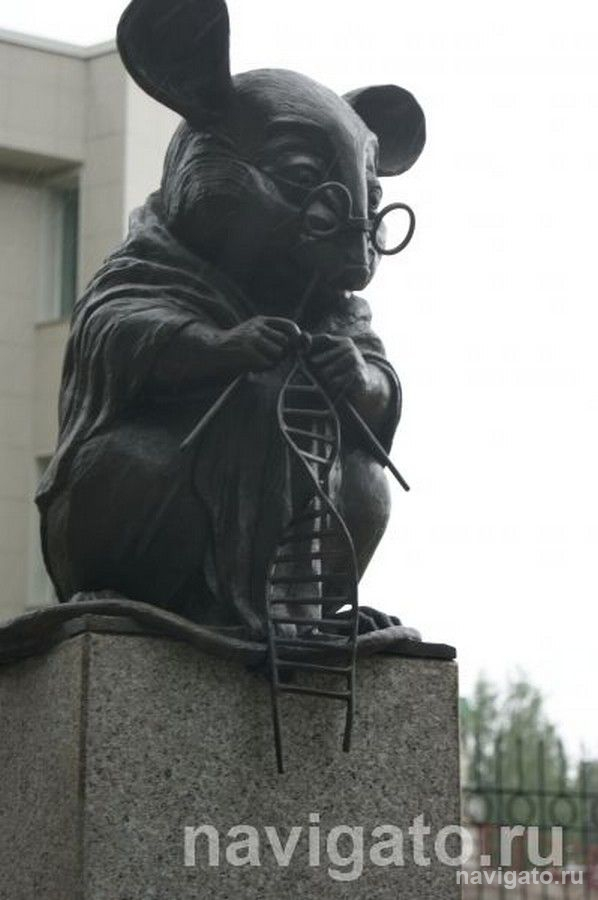 Знаковые места района