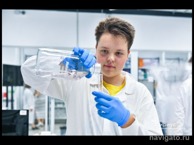 Золото химической олимпиады