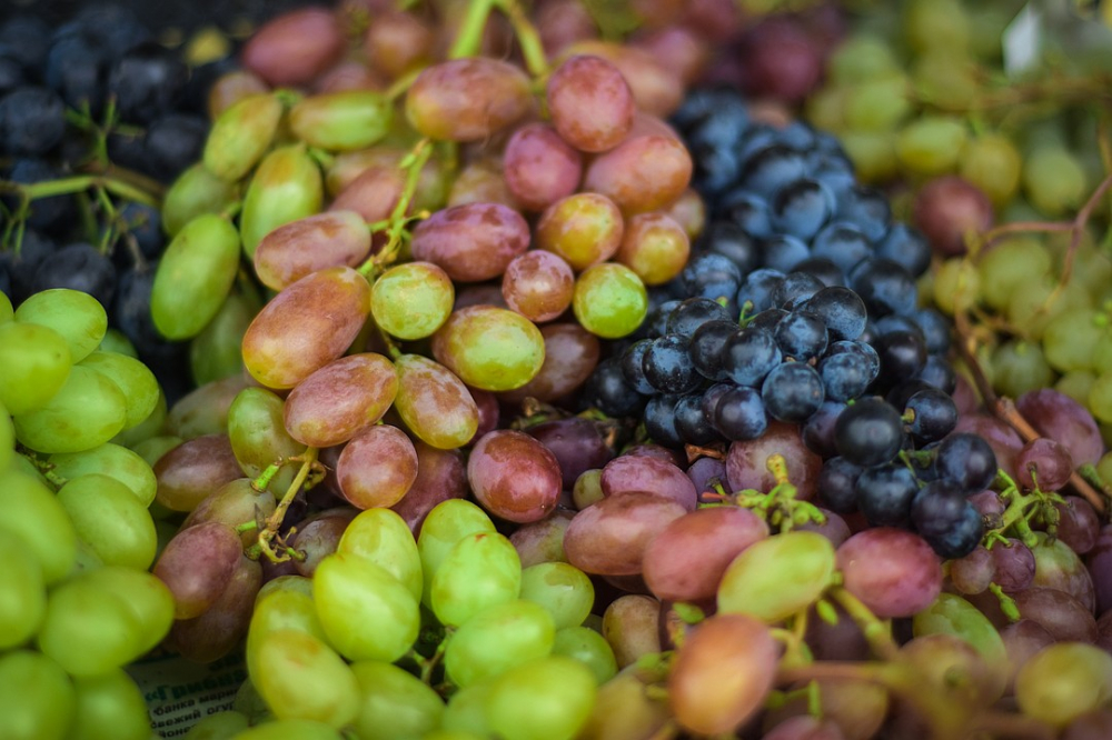 Pin by ivanka kostova on храна Fruit photography, Grapes, Fresh fruit