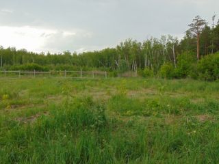 Площадка в пятница 22 мая