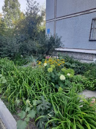 Демакова, 13