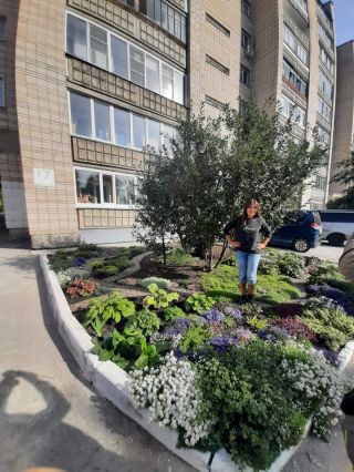 Демакова, 17