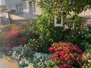 Динамовцев, 14