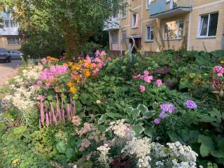 Золотодолинская, 27