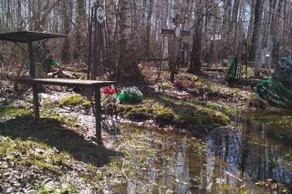 Фото Анны Чернышовой