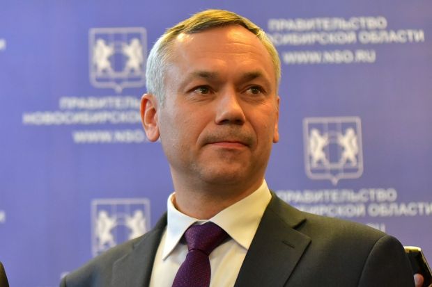 Врио губернатора не причастен к вырубке деревьев в Академгородке