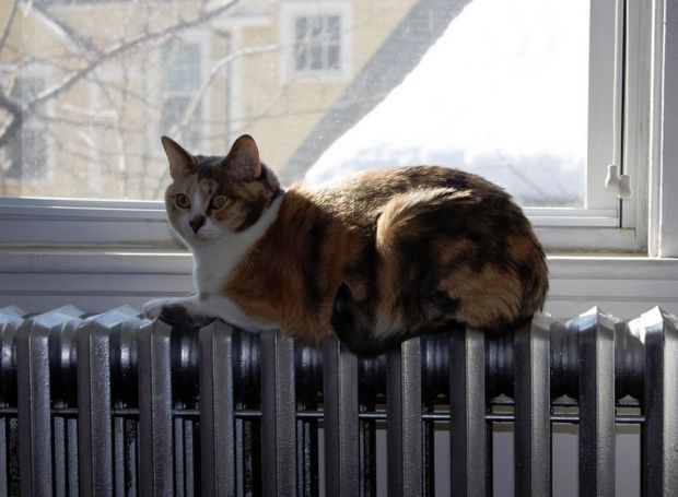 К отопительному сезону готовы, но сложности всё же есть