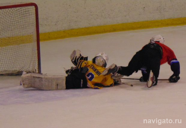 Мальчишки играют в хоккей