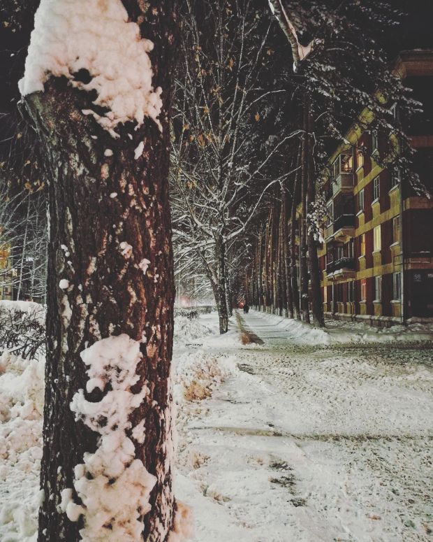 О проекте «Академгородок 2.0» расскажут жителям Советского района