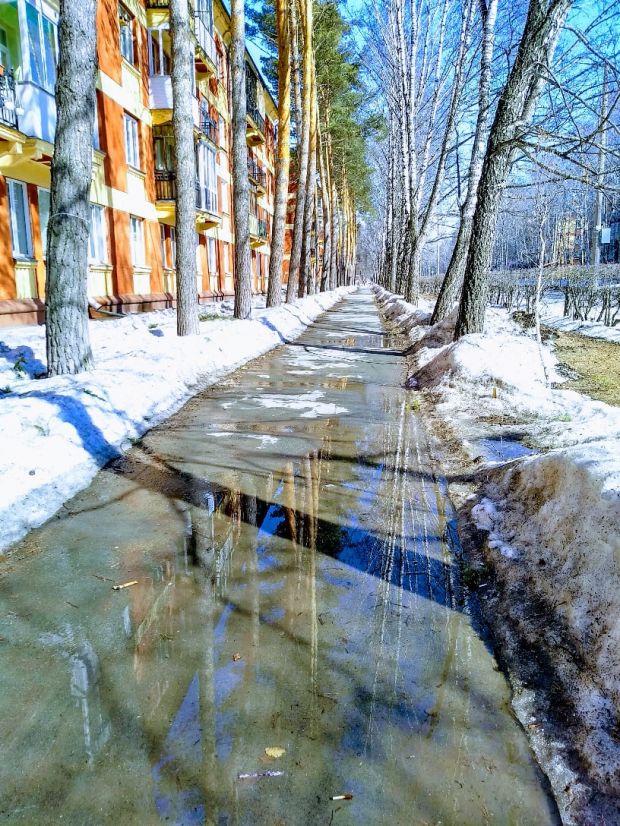 В Новосибирской области вводят режим самоизоляции