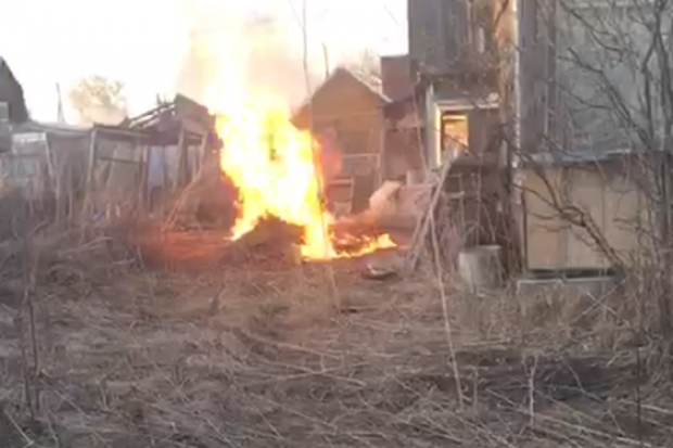 Особый противопожарный режим введен в Новосибирской области