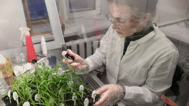 Ученица СУНЦ НГУ участвует в уникальном ДНК-исследовании