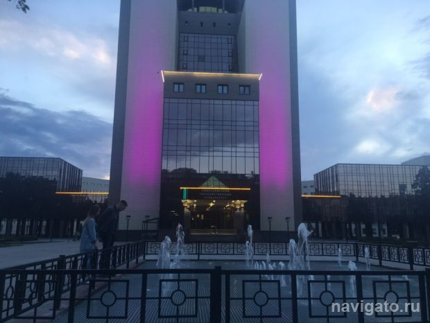 Стратегию развития НГУ до 2025 года представили губенатору