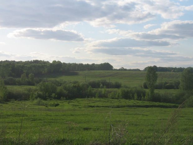 Чрезвычайная ситуация сегодня введена в регионе из-за засухи