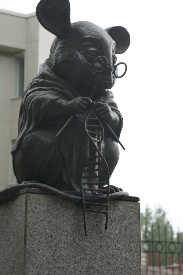 На благо семьи: ученые разматывают клубок загадок в ДНК