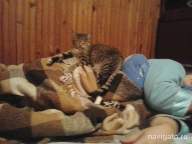 Как влияет лишение сна на уровень сонливости молодых и пожилых людей?