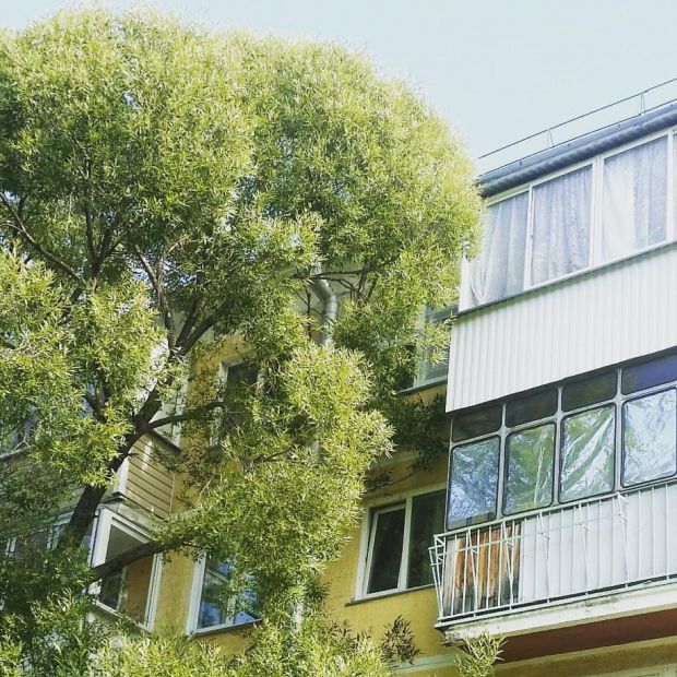 Специалисты мэрии проконсультируют собственников многоквартирных домов