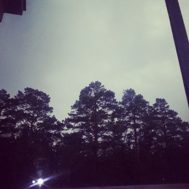 Как бороться с сезонной депрессией, выяснят ученые Академгородка