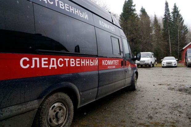 Семимесячную девочку госпитализировали в Бердске с переломом черепа