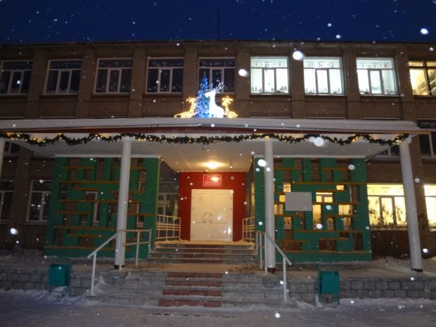 Новогодних праздников в новосибирских школах не будет