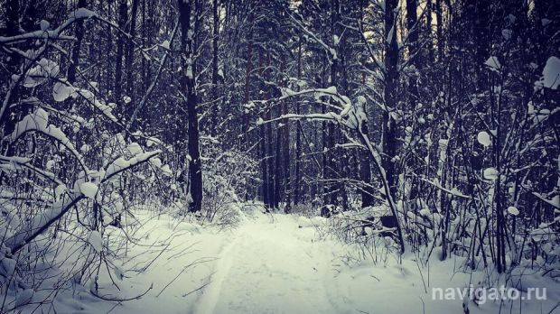 Одевайтесь теплее: в Новосибирске резко похолодает