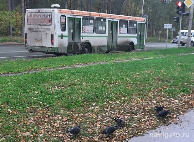 15 автобусов из Минска на следующей неделе отправляют в Новосибирск